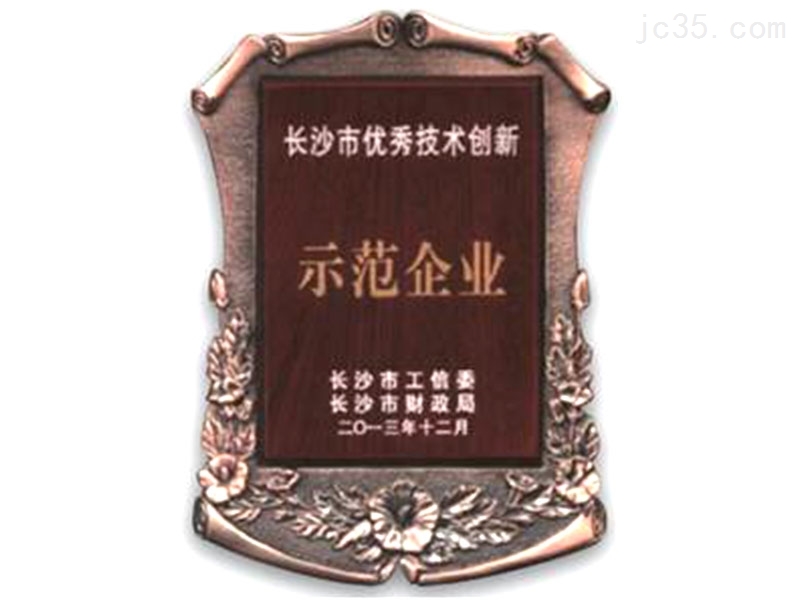 長(zhang)沙市(shi)優秀(xiu)技術(shu)創新(xin)示範(fan)企業(ye)
